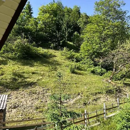 маєток ярини Apartment Krivopol'ye